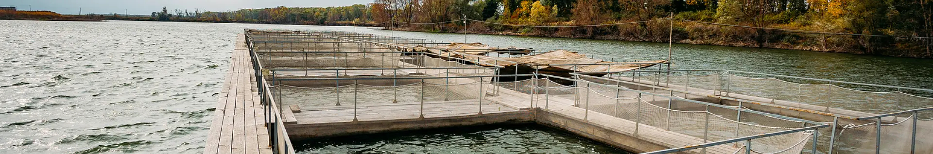 Quadratische Käfige für Aquakultur und Fischzucht - Cod. CAGESQUARE